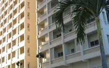 Đón tết trong 