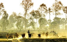 Mùa xuân nơi biên giới