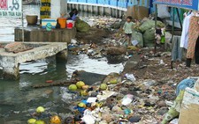 Nhiều sông ở Cà Mau ngập rác