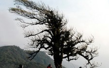 Phia Oắc, tiểu thần tiên...