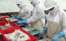 Đề nghị lập Ban hội thẩm xem xét khiếu kiện chống bán phá giá tôm