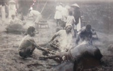 Huế: triển lãm ảnh Nghi lễ hoàng cung và lễ hội ở Huế