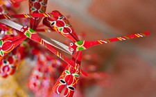 Mùa chuồn chuồn tre Thạch Xá