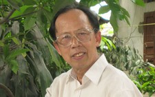 Nguyễn Du không chỉ 
