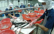Xuất khẩu thủy sản gặp khó