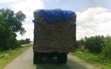 Xe máy cày chở còn hơn xe tải!