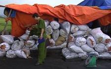 Phát hiện hàng chục tấn mỡ động vật bẩn