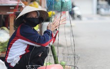 8 bó rau lang dễ thương
