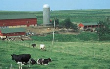 Chuyển nhượng đất nông nghiệp nộp thuế suất 2%