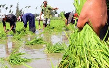 Tranh cãi về nguồn nước sông Nile