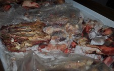 Phát hiện hơn 20 tấn thịt heo bốc mùi hôi