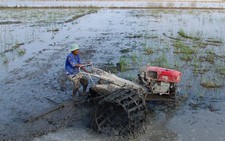 Đập thủy điện sông Mekong: Mối đe dọa lớn
