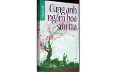 Cùng anh ngắm hoa sơn tra