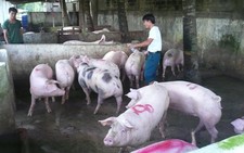 Lính phòng không - không quân sản xuất giỏi