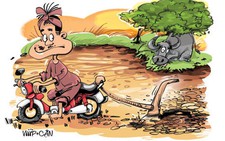Chợ hoa trên 
