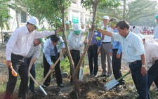 Tiền Giang: ra quân trồng 1 triệu cây xanh
