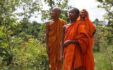 Bán hạn ngạch tín dụng cacbon để cứu rừng