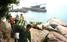 Xuân về đảo Mắt