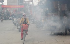 Nướng vịt 