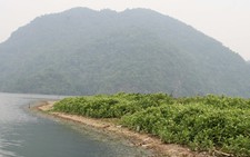 Hồ Ba Bể khó tránh khỏi 