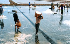 Bạc Liêu: Mưa lớn ngập chìm khoảng 10.000 tấn muối