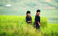 Nụ cười Yên Bái