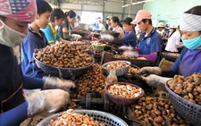 Đề xuất miễn, giảm thuế VAT