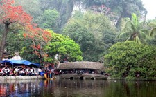 Hoa gạo điểm tô chùa Thầy