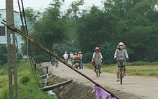 Cáp viễn thông gây họa: có thể khởi tố
