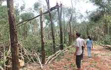 Lốc xoáy kèm mưa đá gây hại nhiều nơi