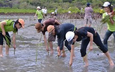 Trồng rừng nhân Tuần lễ biển và hải đảo