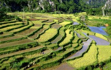 Thăm lúa chín Pù Luông bằng xe máy