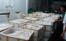 TP.HCM lại phát hiện hơn một tấn mỡ heo thối