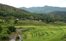 Mưa rừng Pù Luông