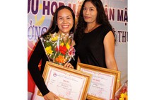 Tuổi Trẻ đoạt giải nhất báo chí TP.HCM lĩnh vực văn hóa