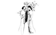 Hàng rào có hoa trạng nguyên