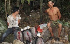 Một chuyến đi săn, bắn chết 15 con thú trong Sách đỏ