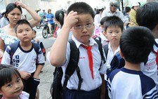 Bầu sữa 