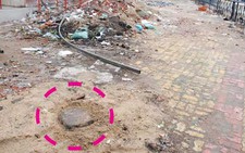 Chặt trộm cây xanh?