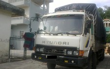 Kiểm lâm 