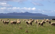 Khám phá Tasmania