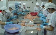 Nhiều ý kiến trái ngược về quy định giờ làm thêm