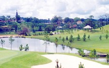 Đà Lạt mở cửa đồi Cù