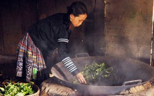 Con đường trà Việt - Kỳ cuối: 