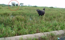 Hàng loạt khu dân cư tự phát