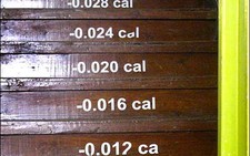 Sống động từng bậc cầu thang