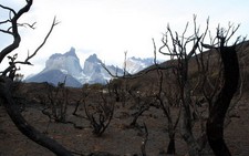 Chile: du khách bị bắt vì gây cháy rừng