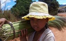 Quà xuân ra biên giới