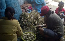 Choáng với thực phẩm tết