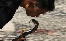 Mỹ, châu Á tập trận Hổ mang vàng 2012